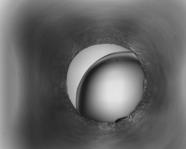 X0000096220192200801181037