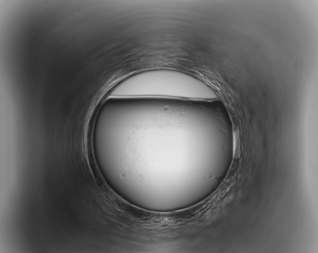 X0000096220195200801181036