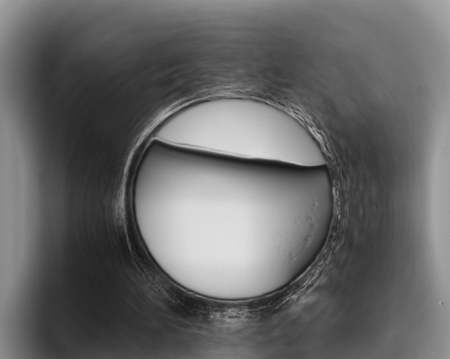 X0000096220196200801181036