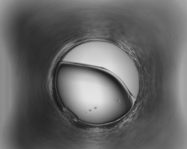X0000096220197200801181036