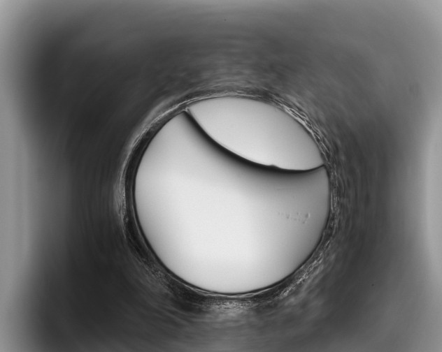 X0000096220198200801181036