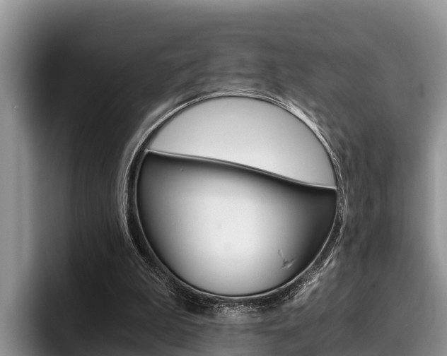 X0000096220199200801181036