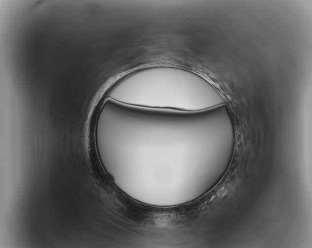 X0000096220200200801181036