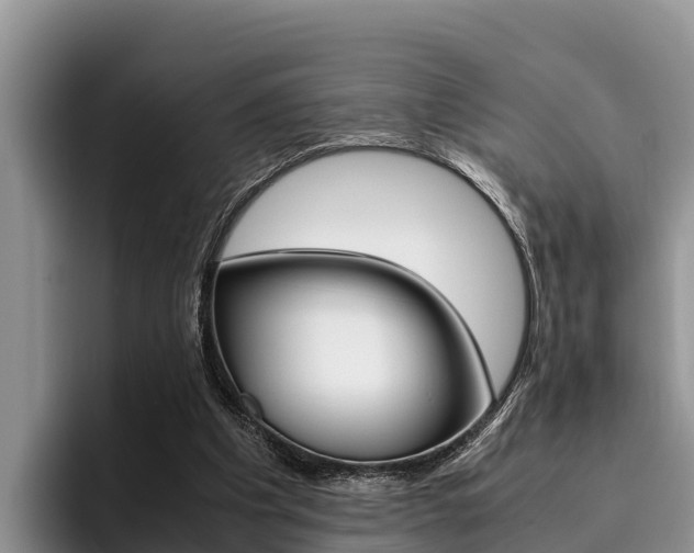 X0000096220201200801181036