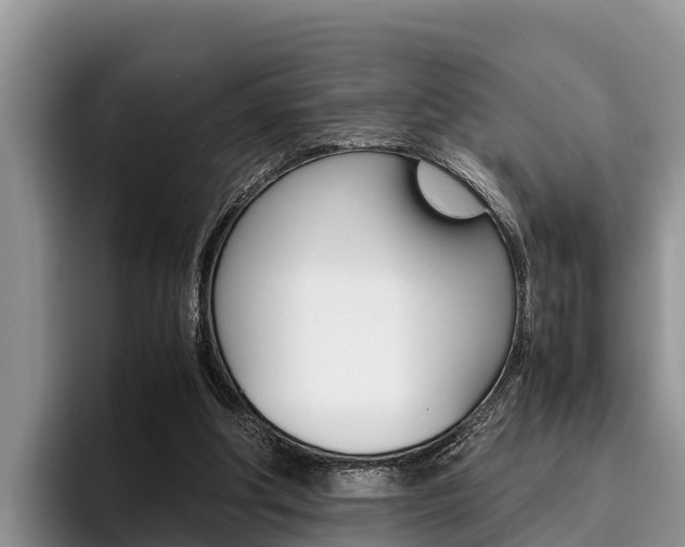 X0000096220202200801181036