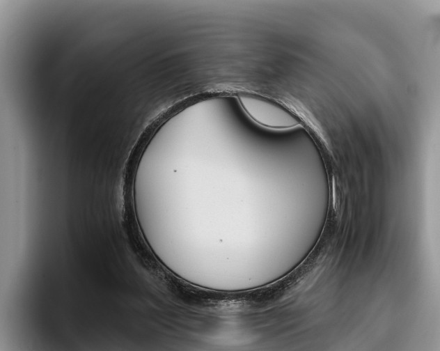 X0000096220204200801181036