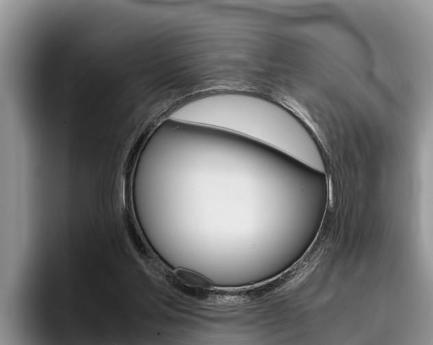 X0000096220205200801181036