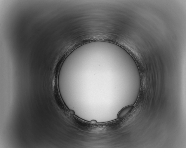X0000096220206200801181036