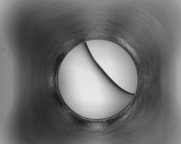 X0000096220209200801181036