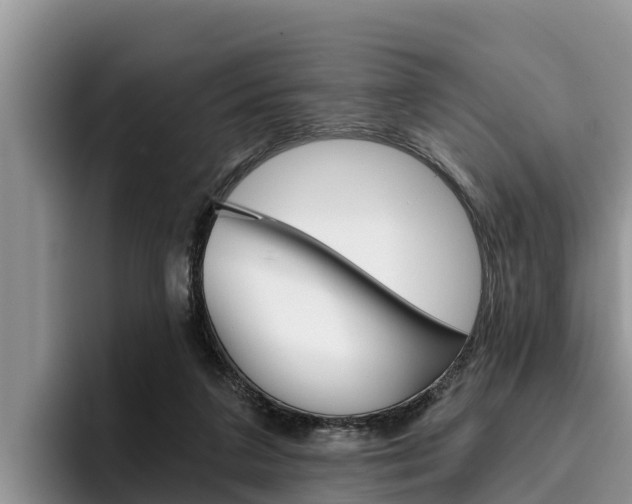 X0000096220211200801181036