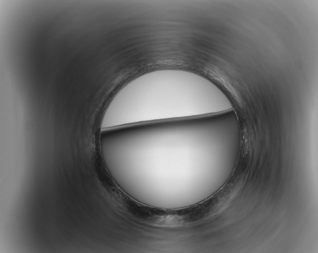 X0000096220212200801181036