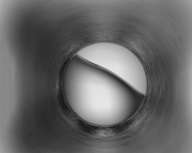 X0000096220215200801181036