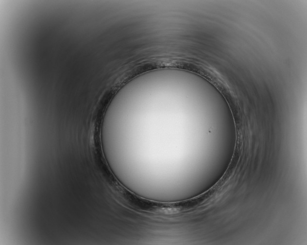 X0000096220217200801181036