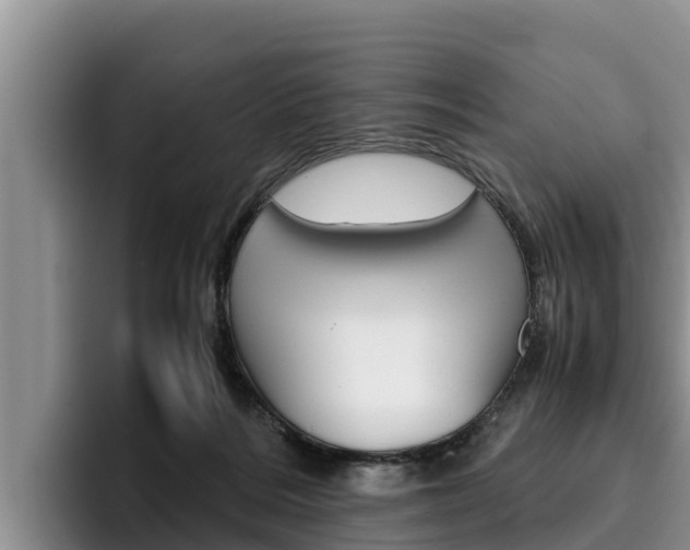X0000096220220200801181036
