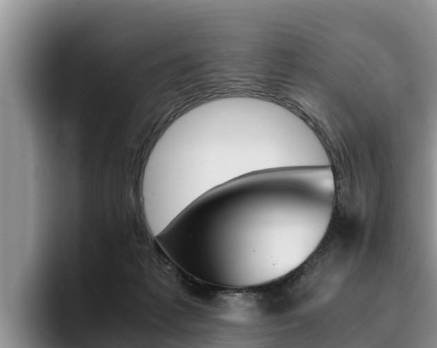 X0000096220221200801181036