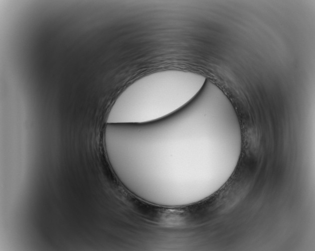 X0000096220222200801181036