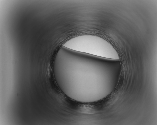 X0000096220223200801181036