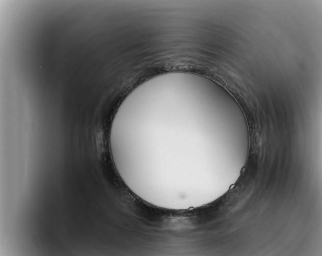 X0000096220224200801181036