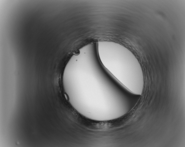 X0000096220225200801181036