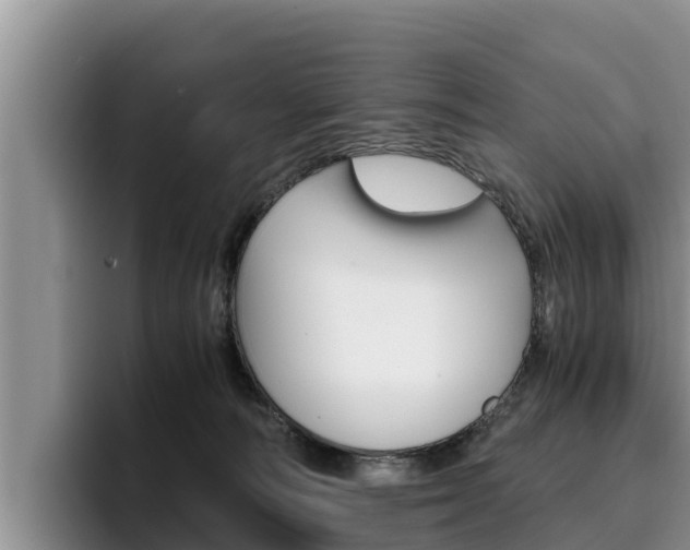 X0000096220226200801181036