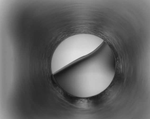 X0000096220227200801181036