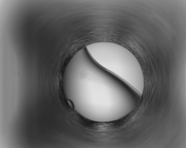 X0000096220229200801181036