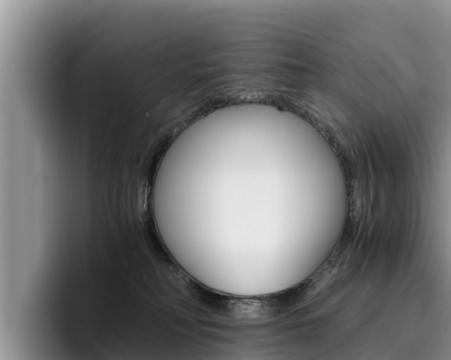 X0000096220230200801181036