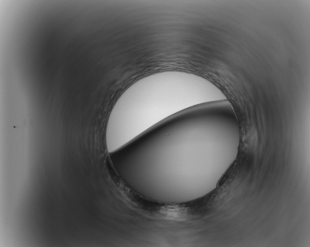 X0000096220231200801181036