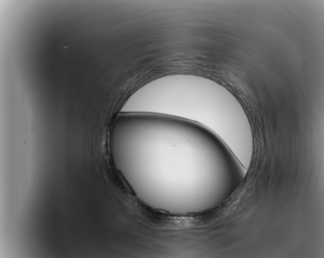 X0000096220233200801181036