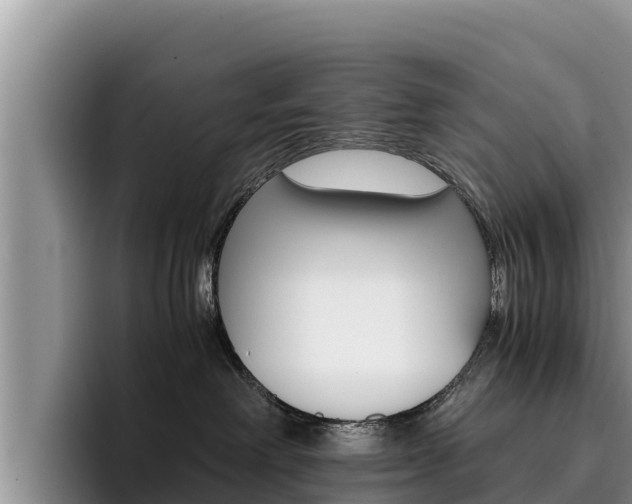 X0000096220238200801181035