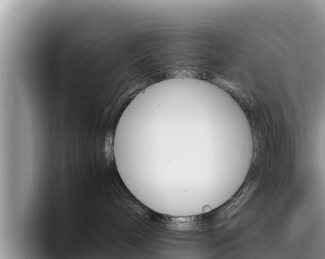 X0000096220240200801181035