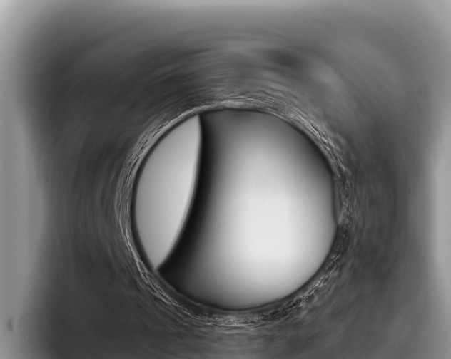 X0000096220241200801181035