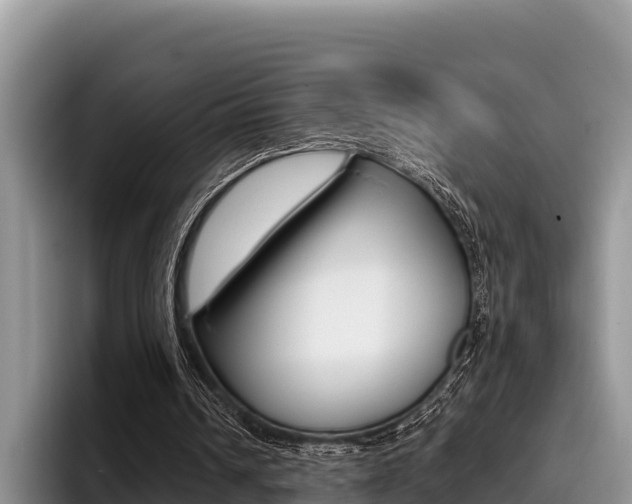 X0000096220242200801181035