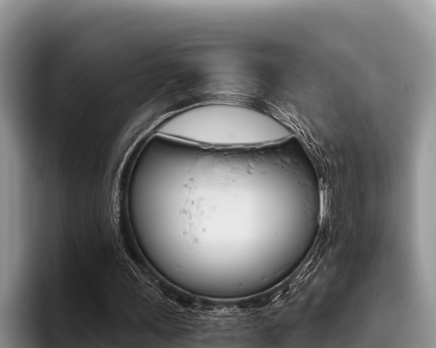 X0000096220243200801181035