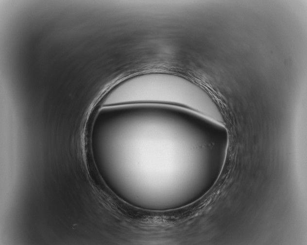 X0000096220244200801181035