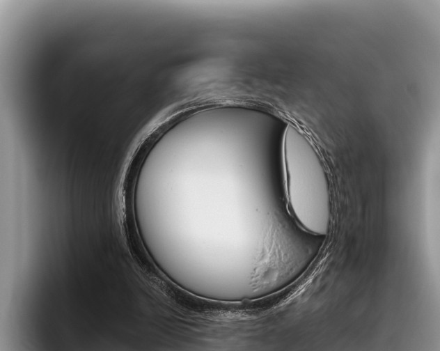 X0000096220246200801181035