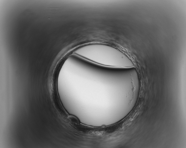 X0000096220247200801181035