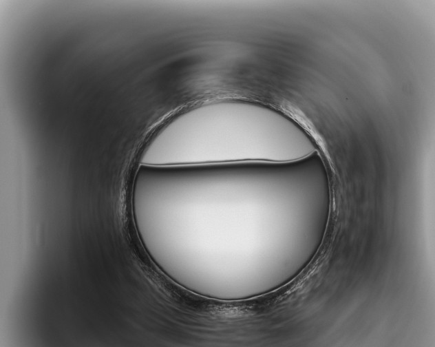 X0000096220249200801181035