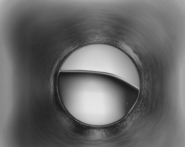 X0000096220250200801181035