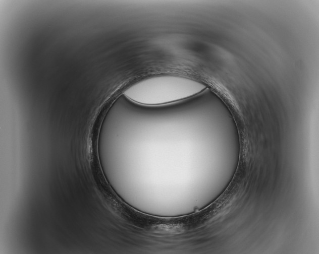 X0000096220251200801181035