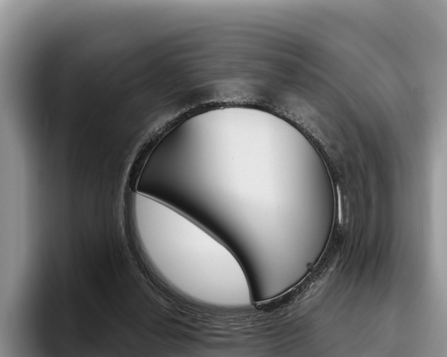 X0000096220252200801181035