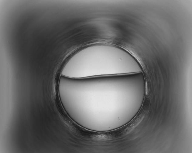 X0000096220253200801181035