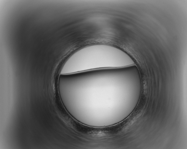 X0000096220254200801181035