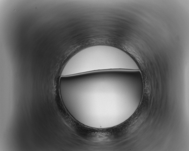 X0000096220255200801181035