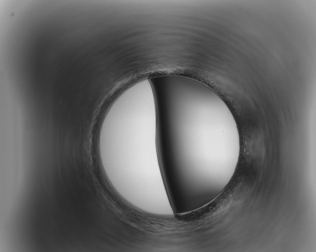 X0000096220256200801181035