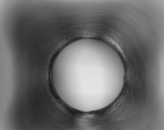 X0000096220257200801181035