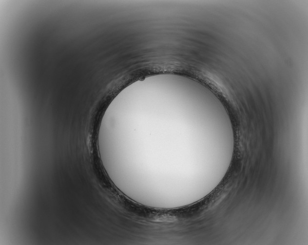 X0000096220258200801181035