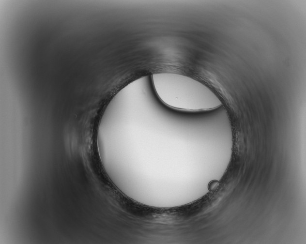 X0000096220259200801181035