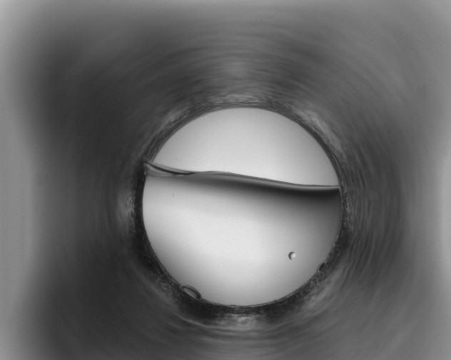 X0000096220260200801181035