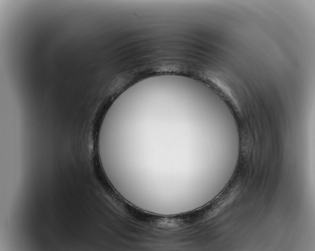 X0000096220261200801181035